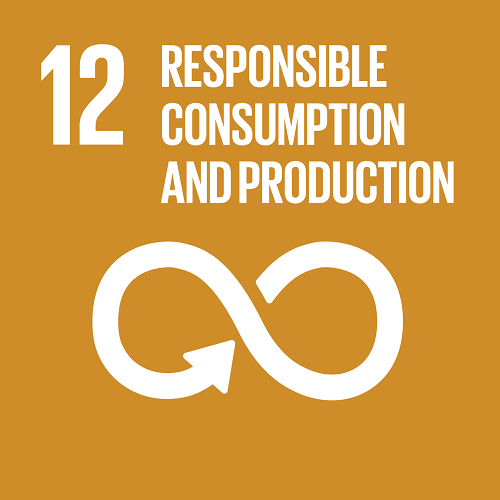 Goal 12: Responsible Sonsumption and Production