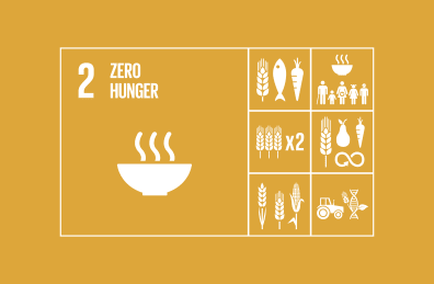 Goal 2: Zero Hunger