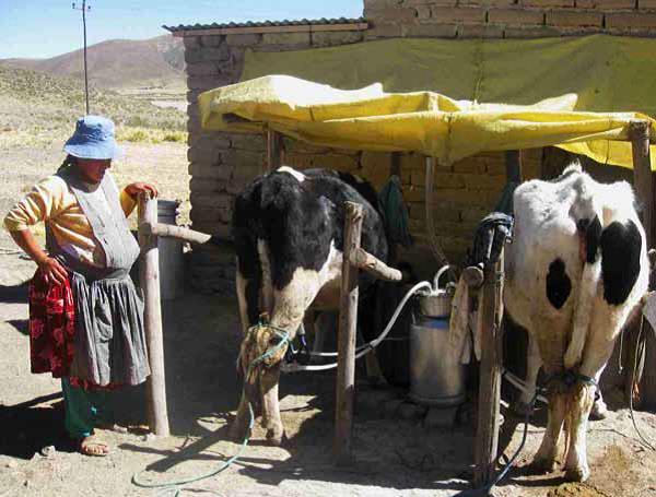 Economic opportunities and citizenship for women in extreme poverty in Bolivia