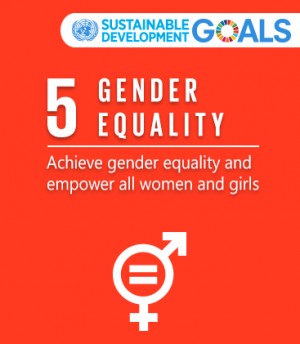 Goal 5: Gender equality